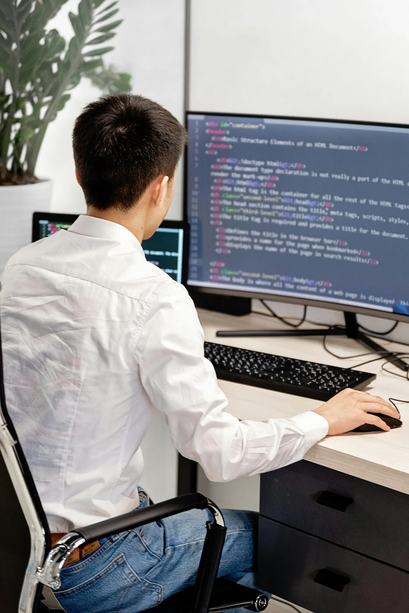 Web Development